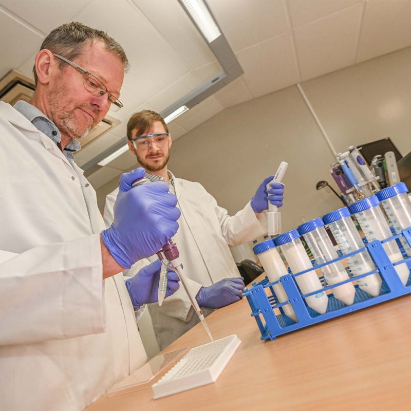 Two scientists testing milk samples in a laboratory